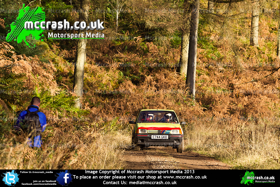 GSR_2013_ (106)