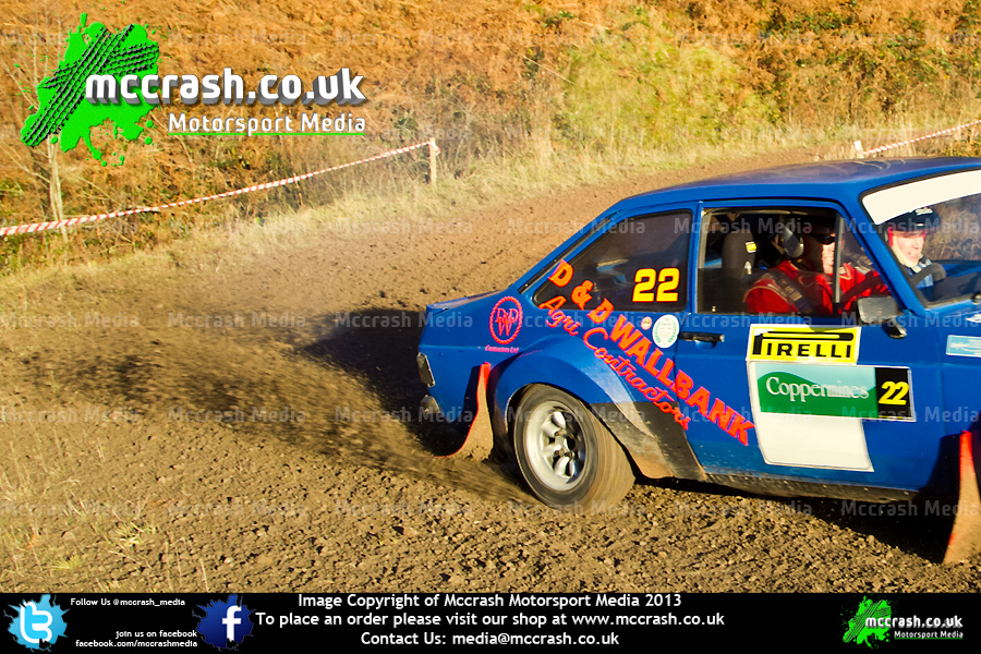 GSR_2013_ (77)
