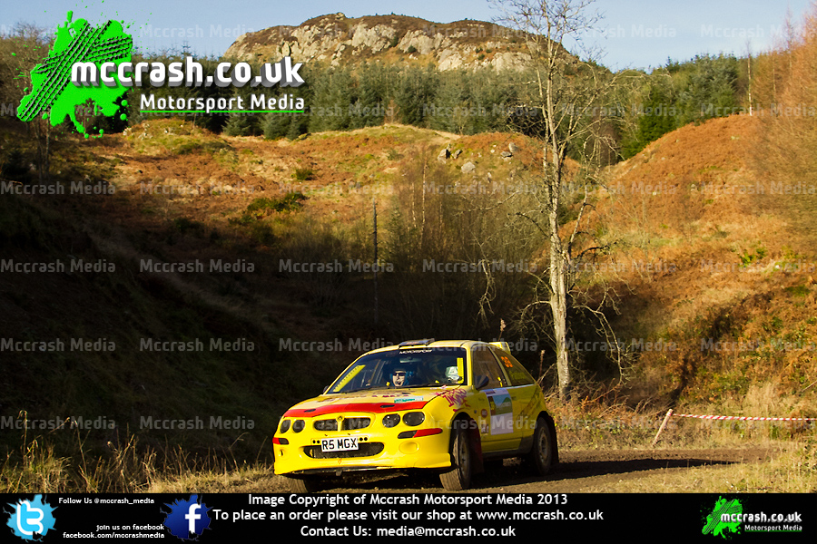 GSR_2013_ (100)