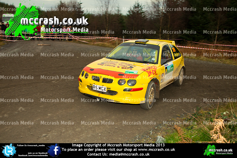 GSR_2013_ (101)