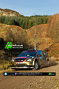 GSR_2013_ (16)